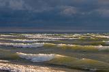 Surf's Up_23907